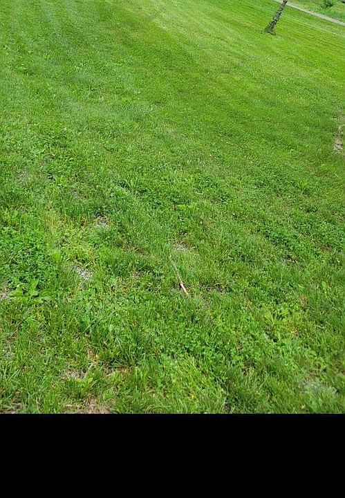 2nd image of 101 Bobcat Rd