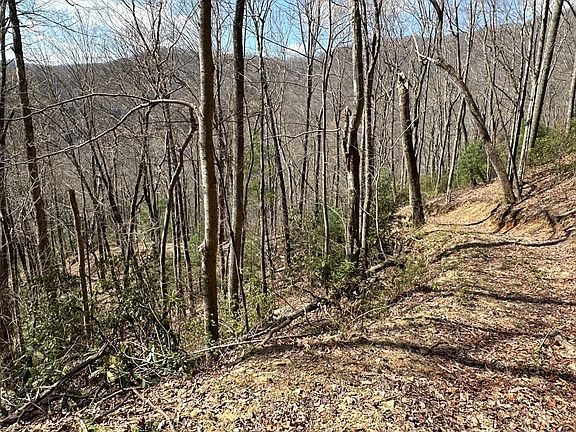 5th image of 5 Huffman Creek Rd