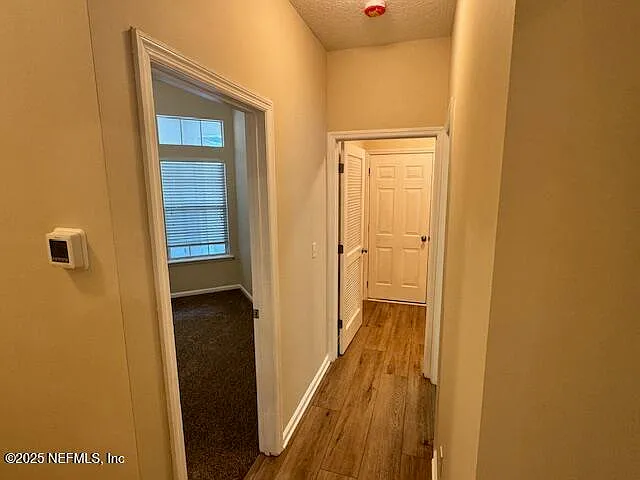 14758 Fern Hammock Dr — Photo 19