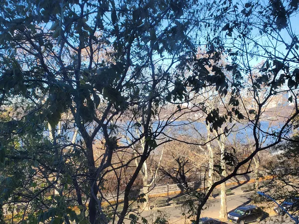 720 Riverside Drive image 6 of 10