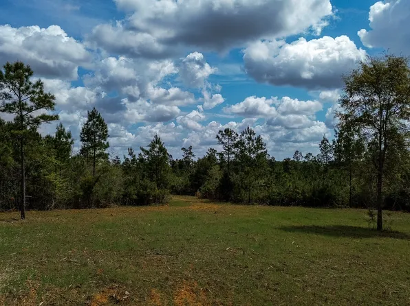 3 Harrell Rd, Parrott, GA 39877