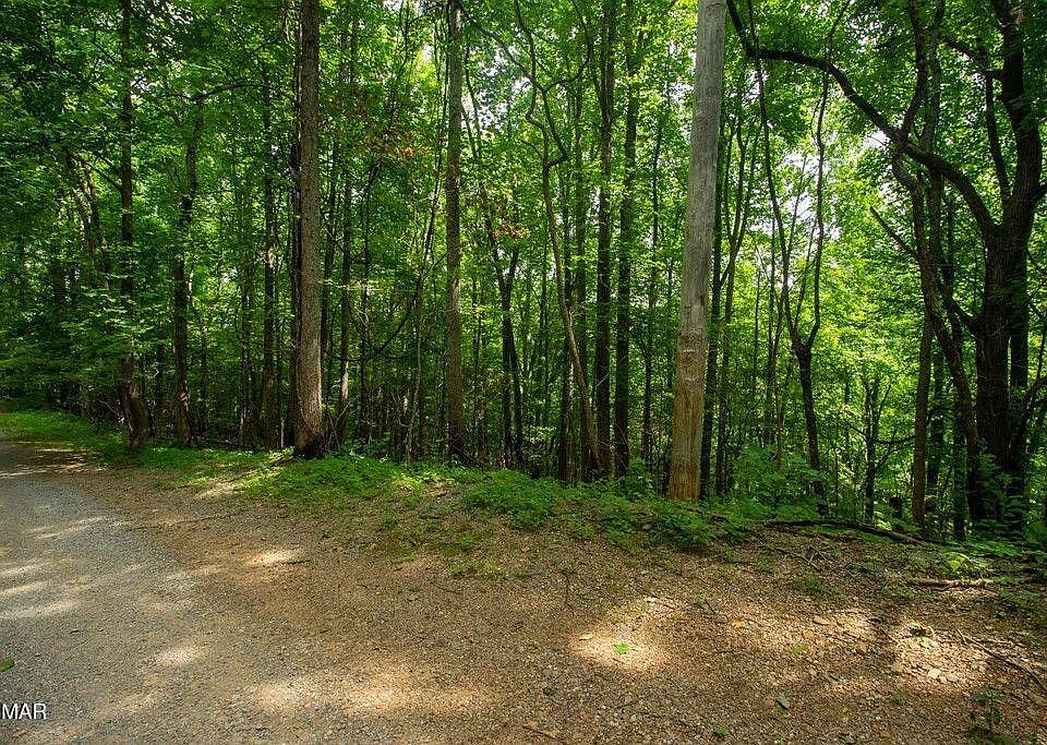 1st image of 13 Sugar Maple Loop Rd Lot 13A