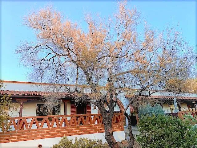 402 S Paseo Quinta Unit B — Photo 2