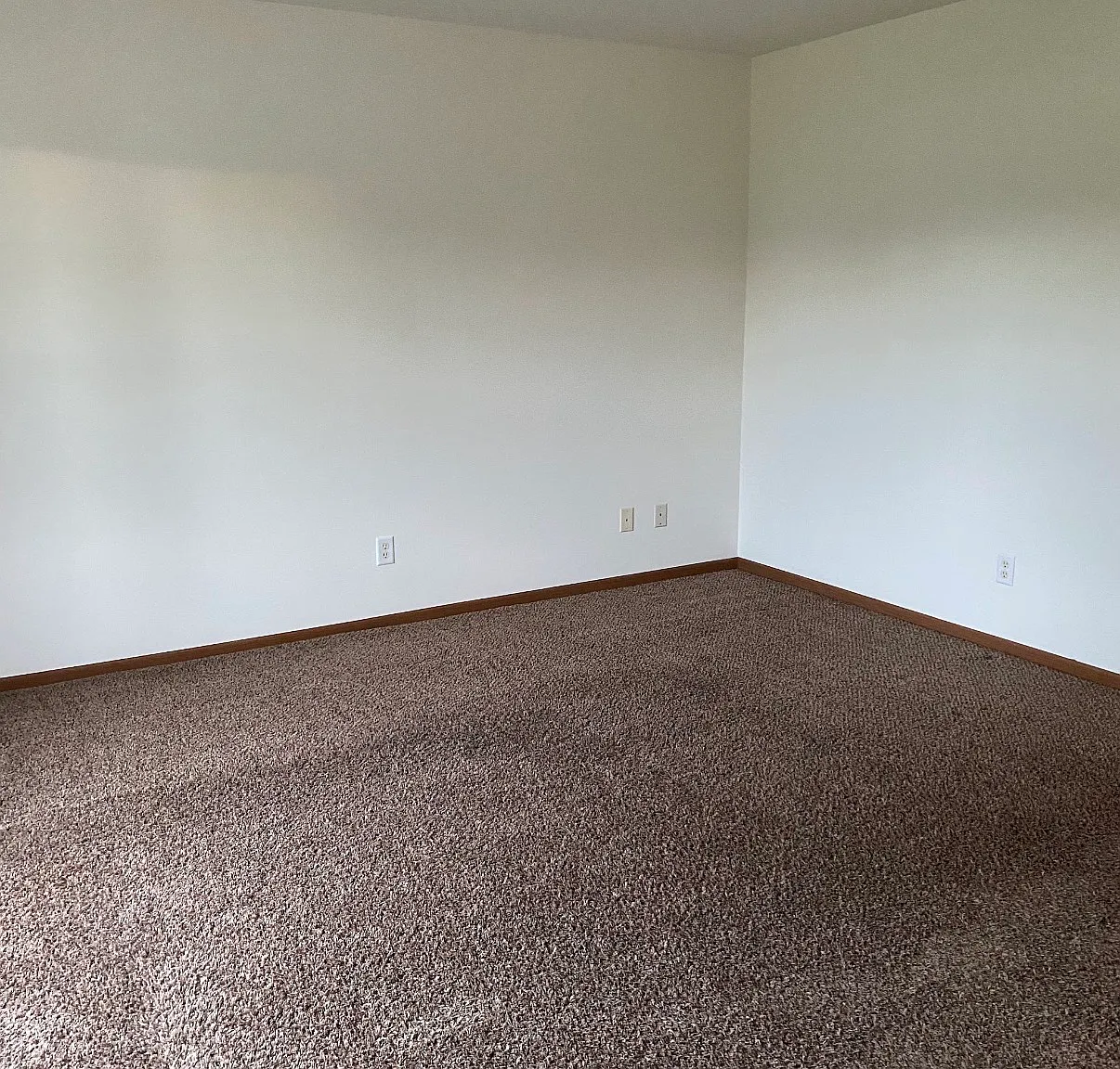 2 bed, 1.5 bath, 1000 sqft, $1,295 — Photo 3