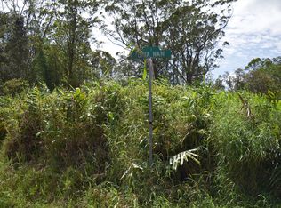 Road 1 LOT 16, Volcano, HI 96785