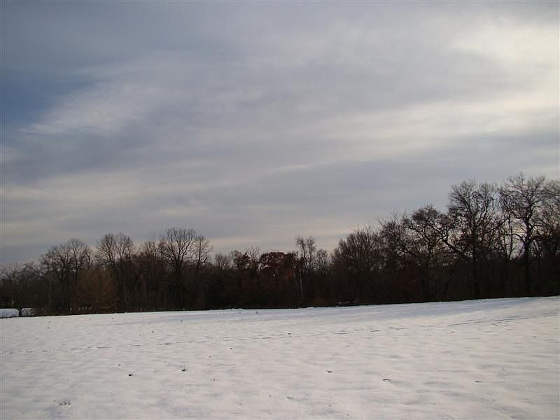 Secluded rural parcel