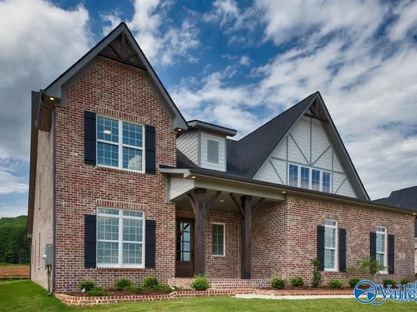 8113 Goose Ridge Dr, Owens Cross Roads, AL 35763