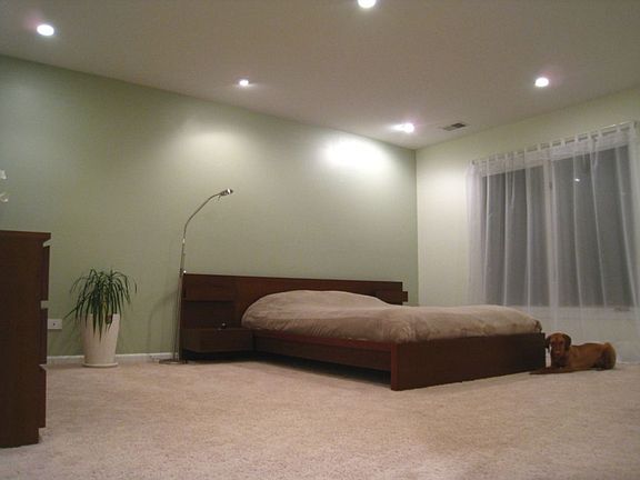 Spacious master bedroom