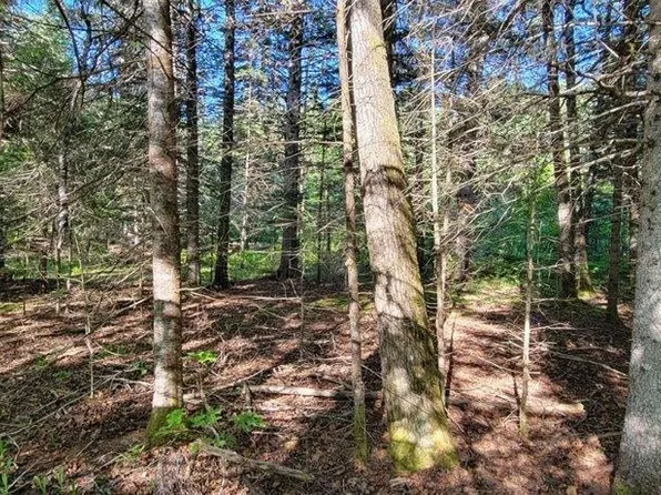 835 Gardner Creek Road, Wade, ME 04786