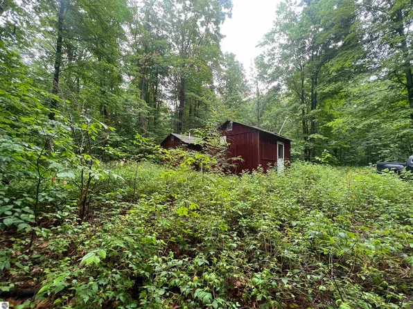 9720 N Fawn, Mancelona, MI 49659