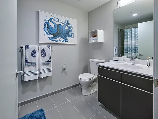 Rented by Bozzuto Management | media 48