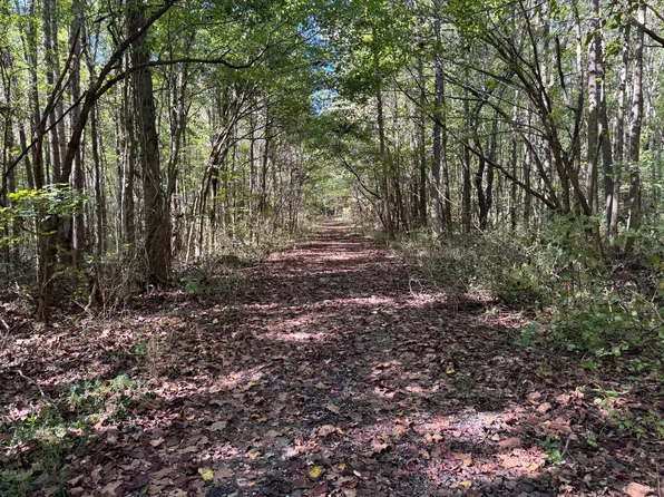 0 Highwater Rd, Rosiclare, IL 62982