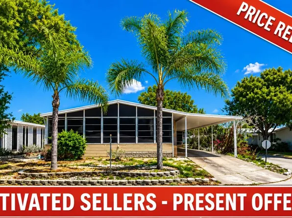 3528 Zephyr Ln, Valrico, FL 33594
