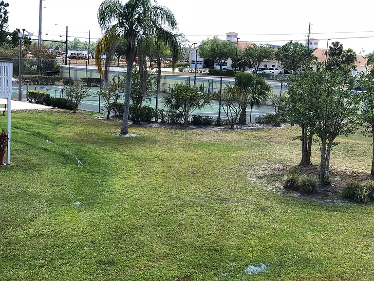 View from back yard