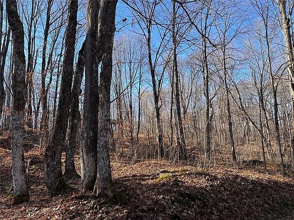 2nd image of Lots 54 & 55 Wolf Island Road