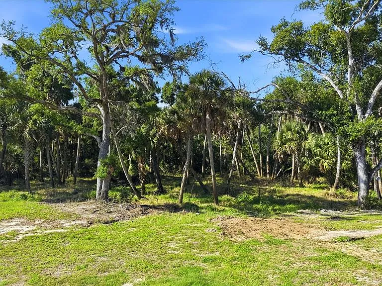 5361 Myakka Valley Trl — Photo 37