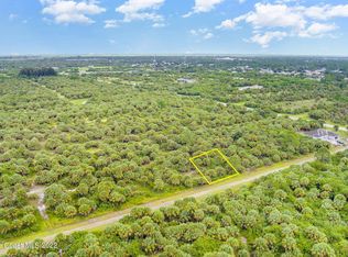 843 Parrotfish St SW, Palm Bay, FL 32908