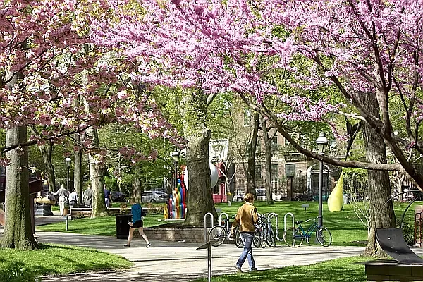 Rented by St. James Realty | media 8