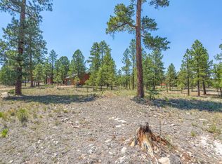 2906 Durango Dr LOT 16, Happy Jack, AZ 86024