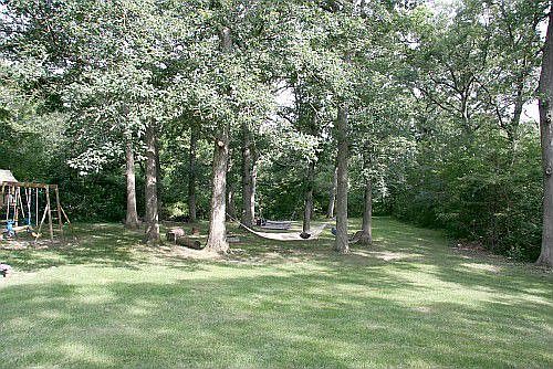 A portion of the back yard