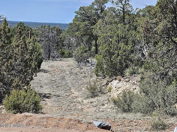 2nd image of 3680 Enchanted Forest Dr