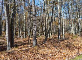 181 E Alpine Dr, Terra Alta, WV 26764