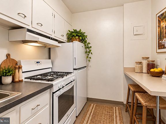 5th image of 604 S Washington Sq APT 1704
