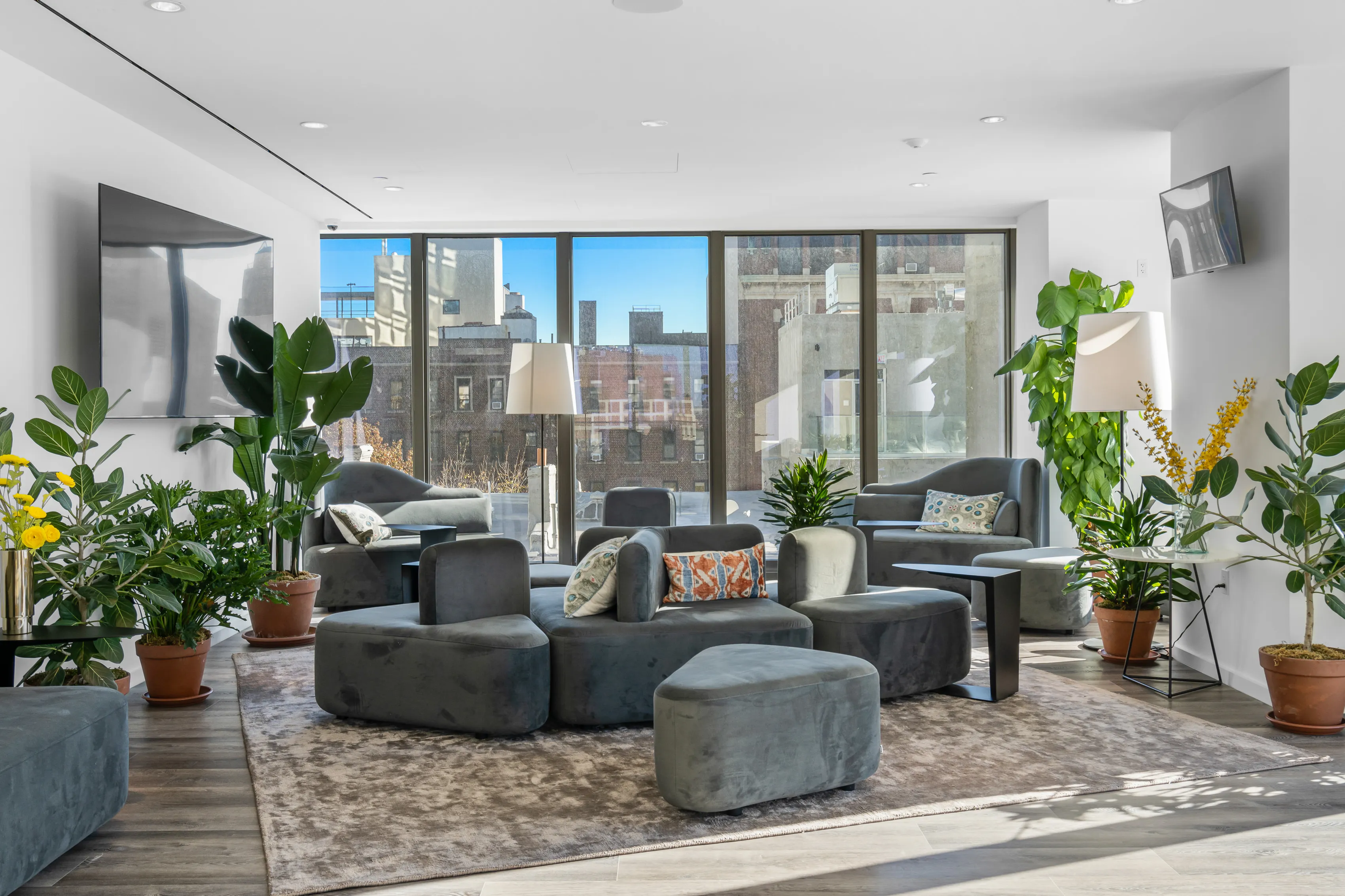 The Axel at 545 Vanderbilt Avenue in Clinton Hill : Sales, Rentals ...