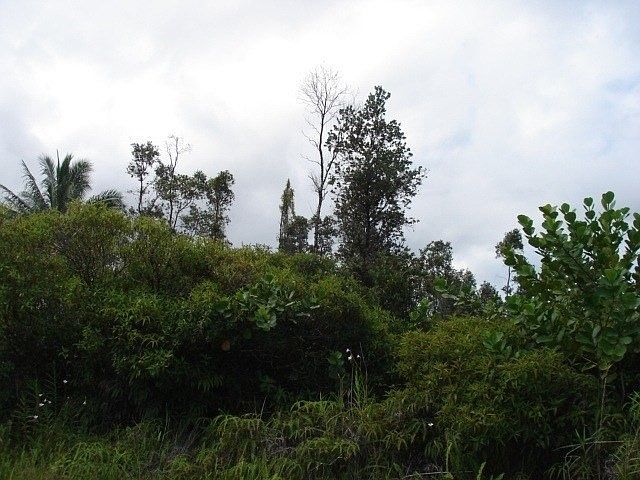 1st image of 10th Ave Lot 1600