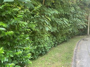 0 Louise Dr SE, Concord, NC 28025