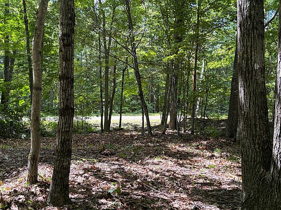 5th image of 3.15 Acres Belden Woods Road