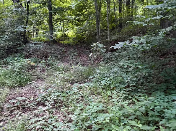 1604 Hoke Rd, Covington, VA 24426