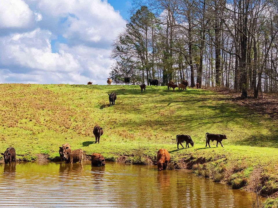 23rd image of this home