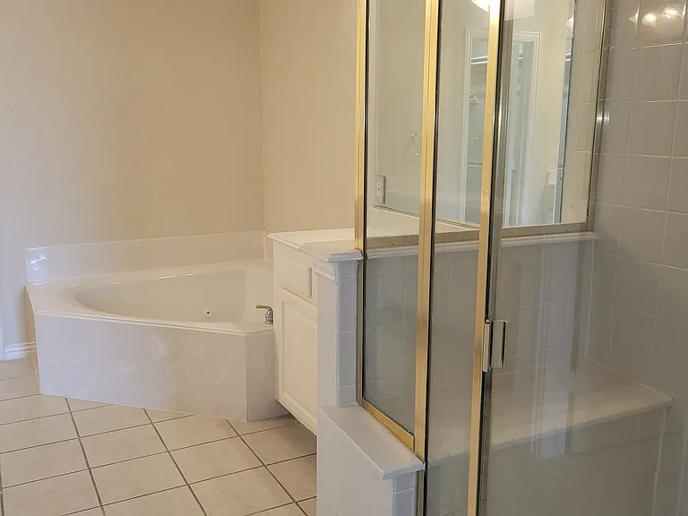 primary bath spa jet tub, 2nd sink B, shower stall