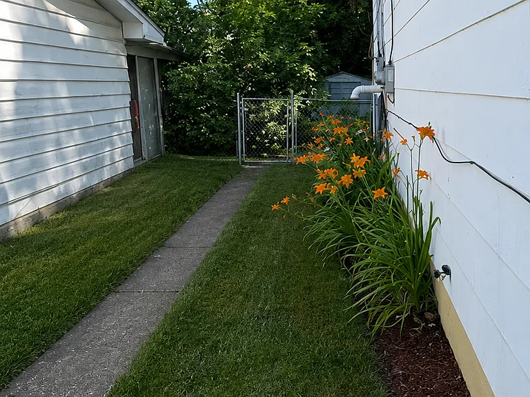 side of the house