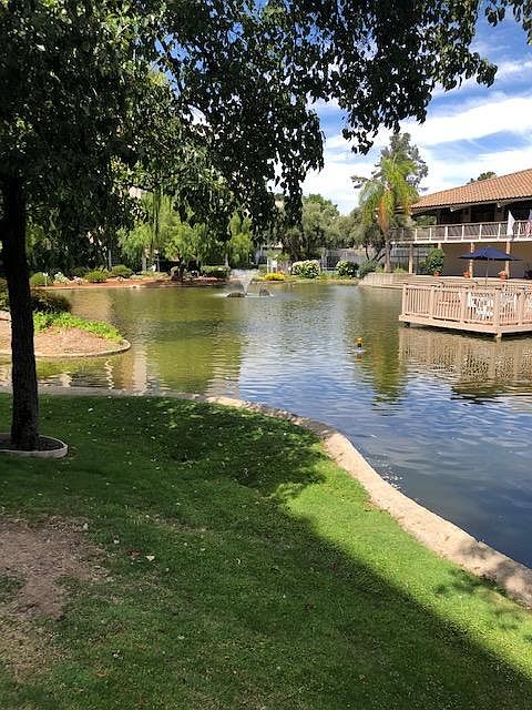 Tranquil pond .