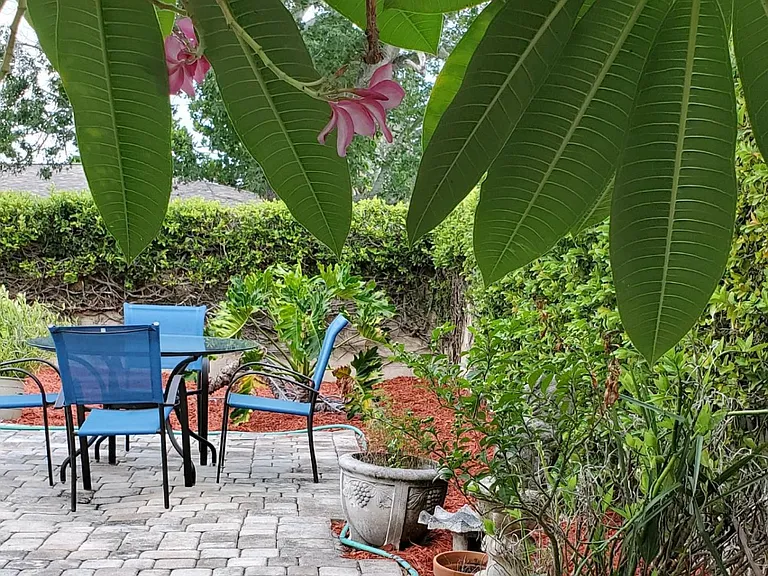 View from side courtyard to pool area