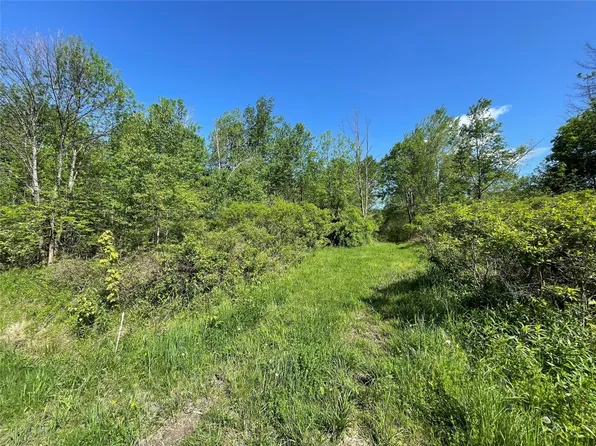 3563 & 3575 Saddlemire Rd, Binghamton, NY 13903