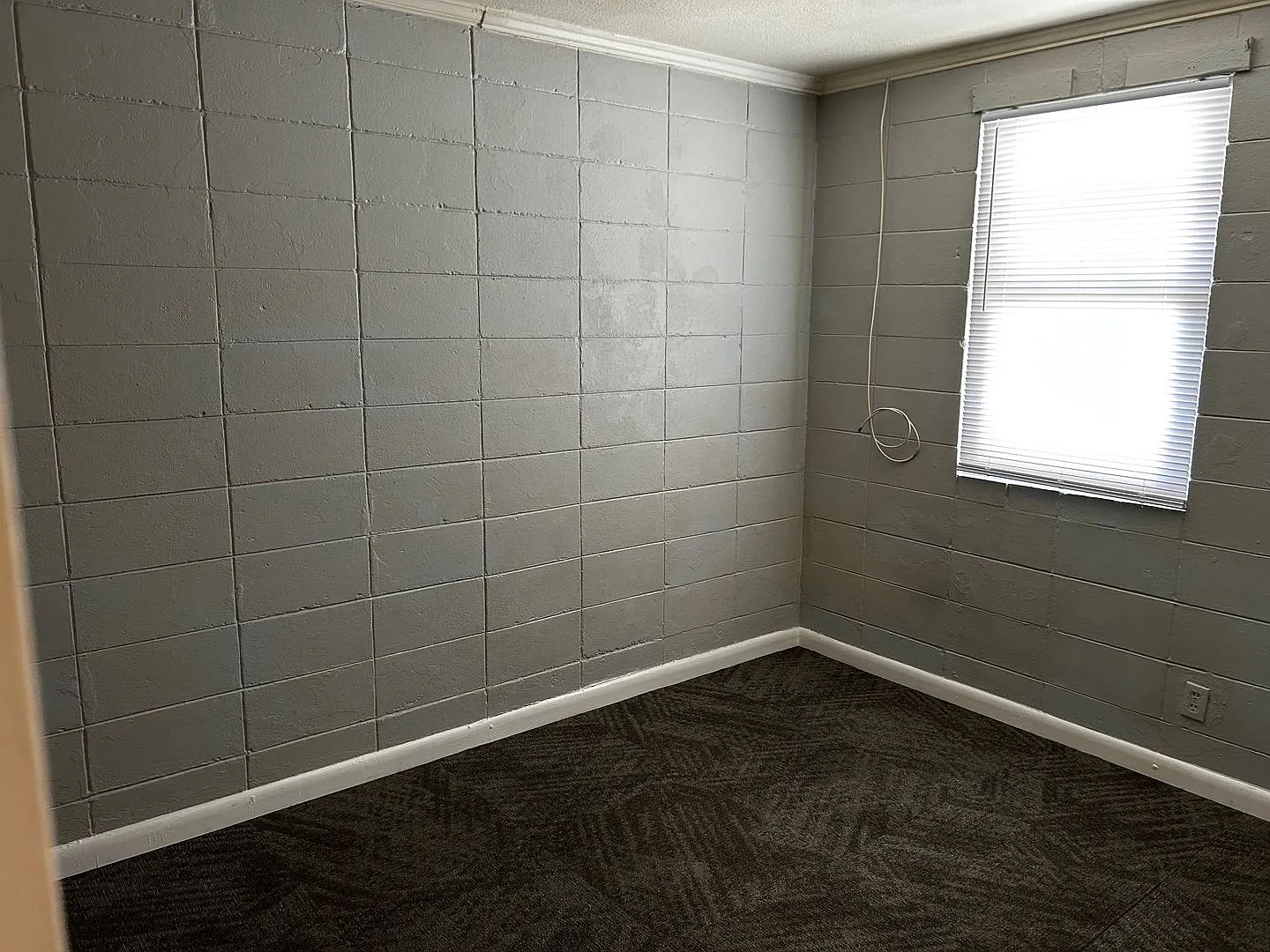 111 Morton St Apt 5 — Photo 4