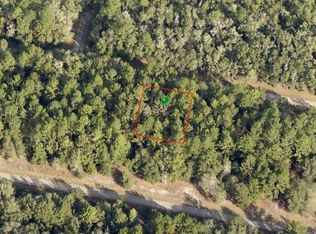 1650 E Badger Dr, Citrus Springs, FL 34434