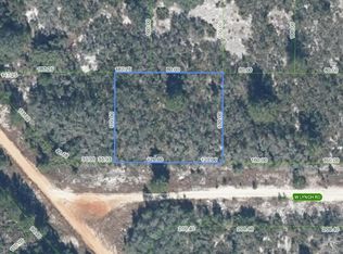 2881 W Lynch Rd, Avon Park, FL 33825