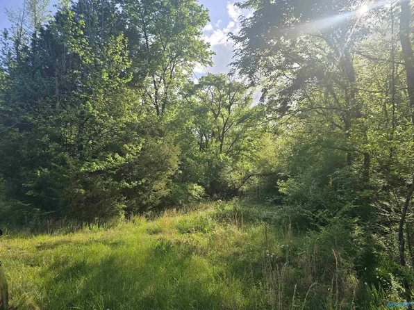 396 Bob Haas Rd, Scottsboro, AL 35752