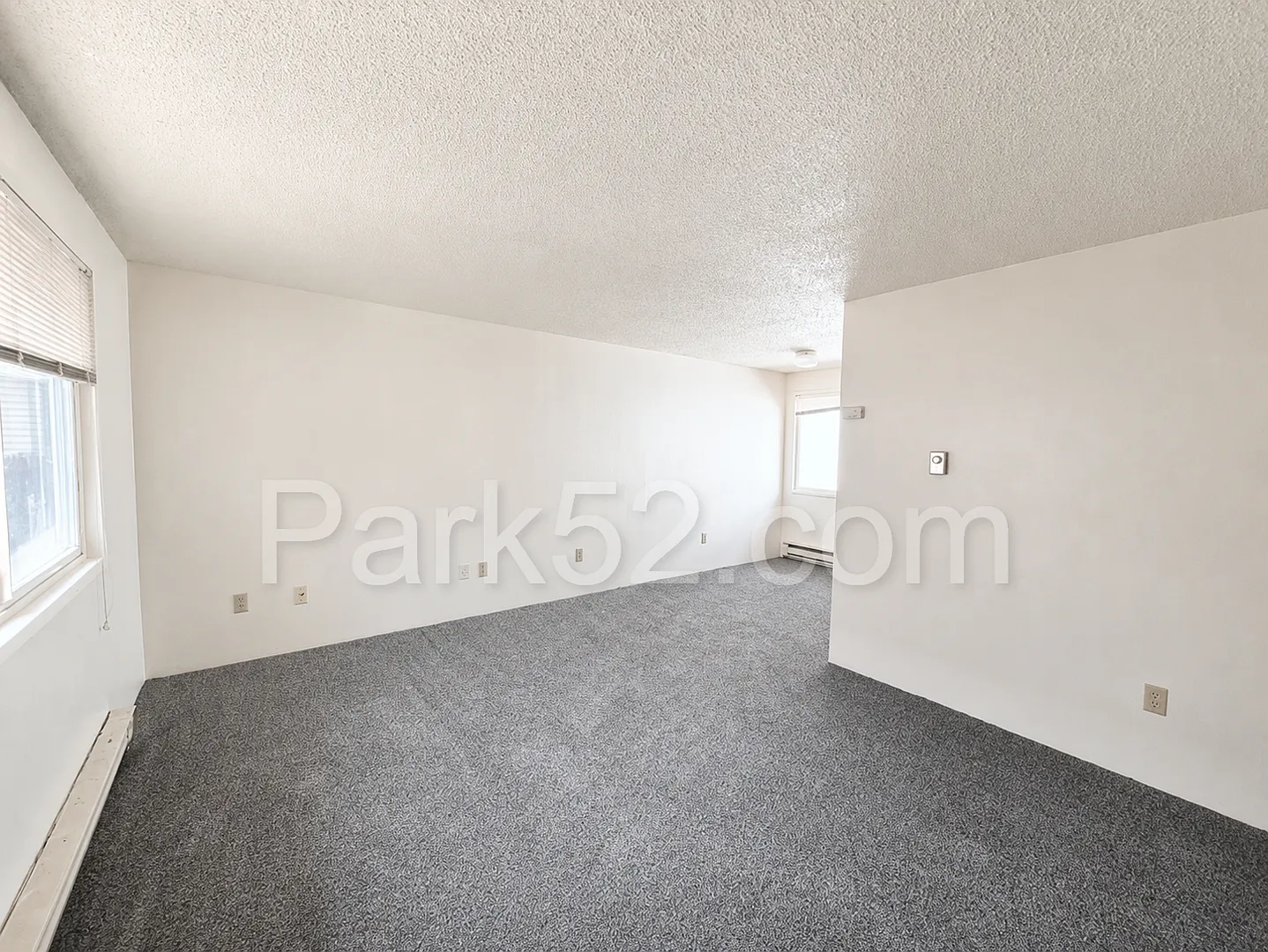 Indoor Cat Friendly Upper Level North Tacoma Apartment — Photo 2