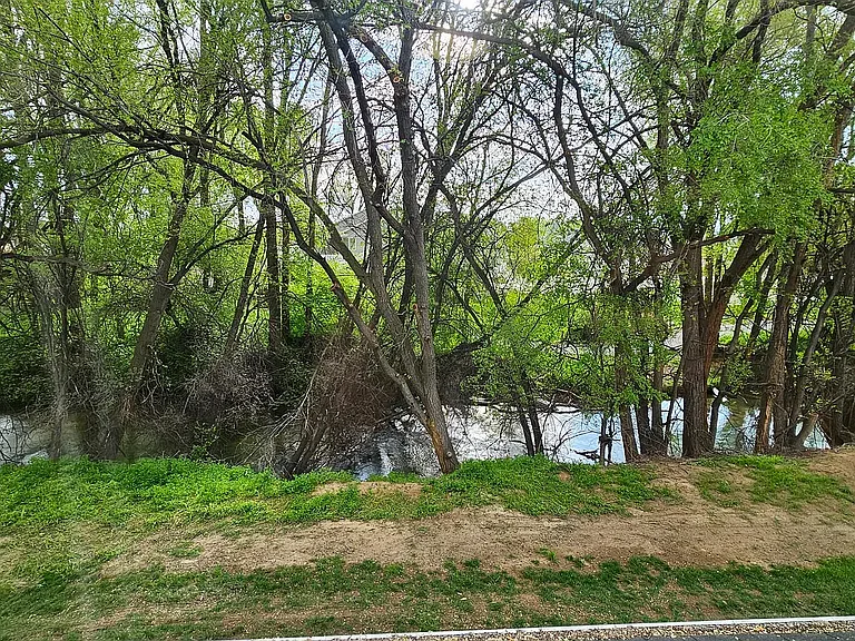 Apartments by the Brook — Photo 10