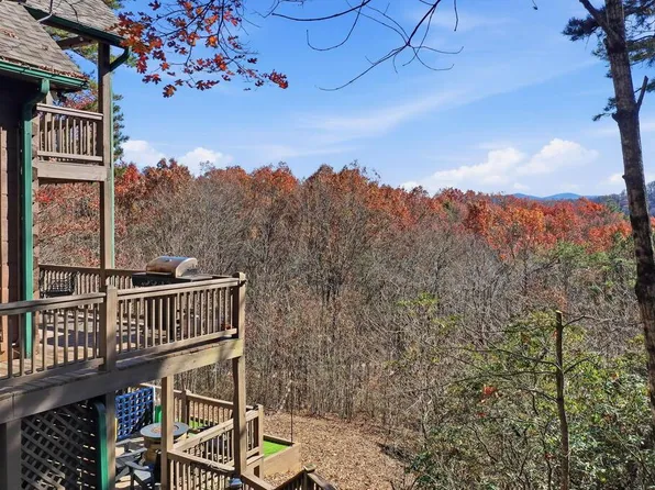 31 The Kings Ct, Cherry Log, GA 30522