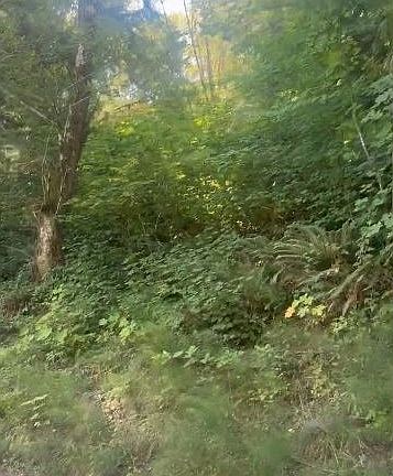 3rd image of 0 Adj #82050