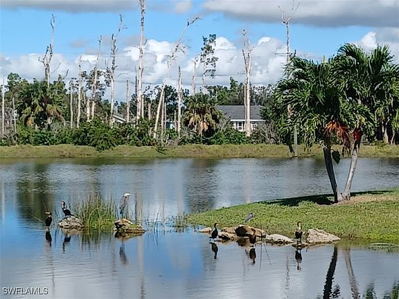 4th image of 6412 Royal Woods Dr