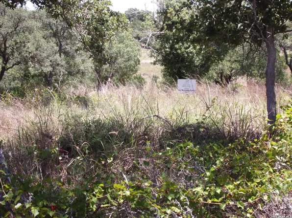TBD E Twisted Oak Trail LOT 34, Blanco, TX 78606