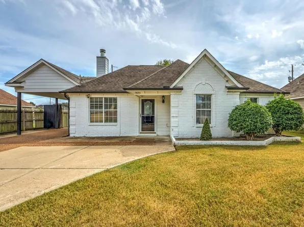 7893 Collins Wood Cv, Memphis, TN 38125