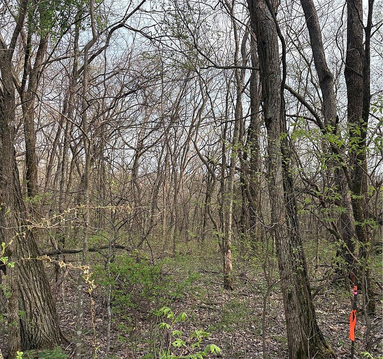 1st image of Lots 169 170 171 Huckleberry Cir #169